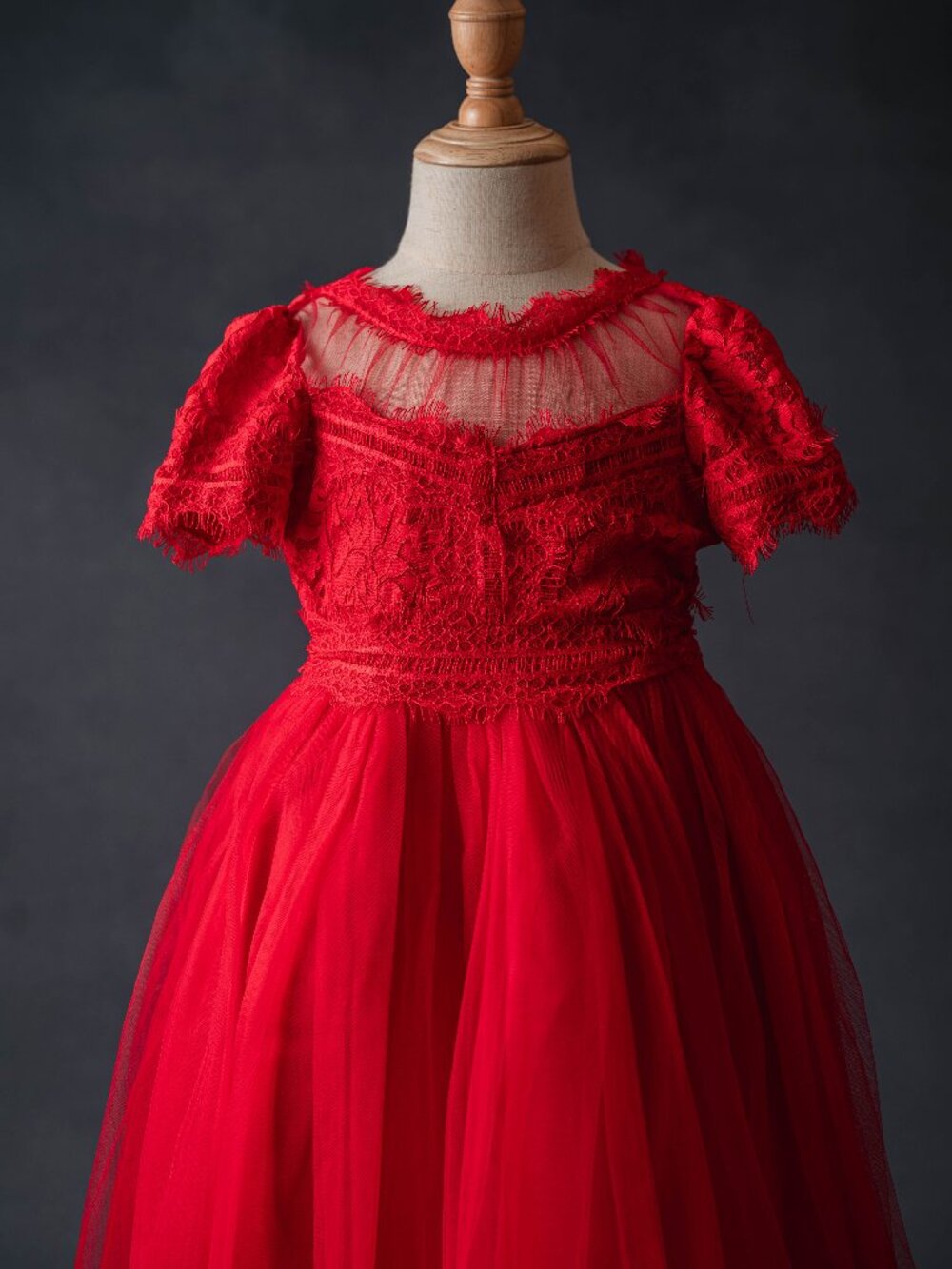 Trish Scully red lace dress, size 2, NEW